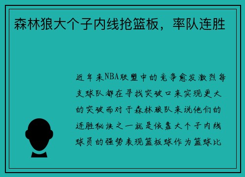 森林狼大个子内线抢篮板，率队连胜