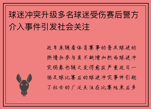 球迷冲突升级多名球迷受伤赛后警方介入事件引发社会关注